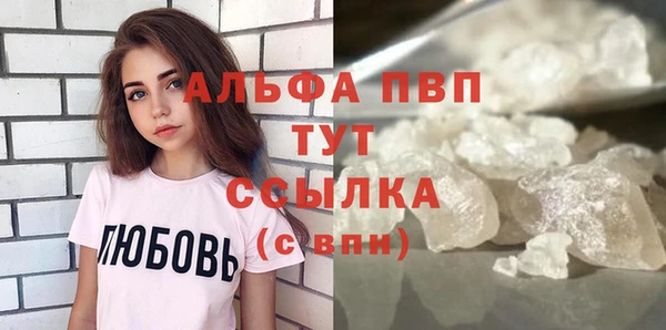 индика Богородск